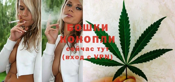 2c-b Богородицк