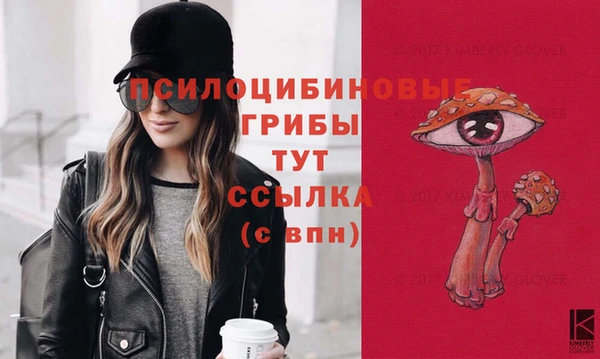 тгк Бронницы
