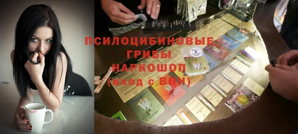 тгк Бронницы