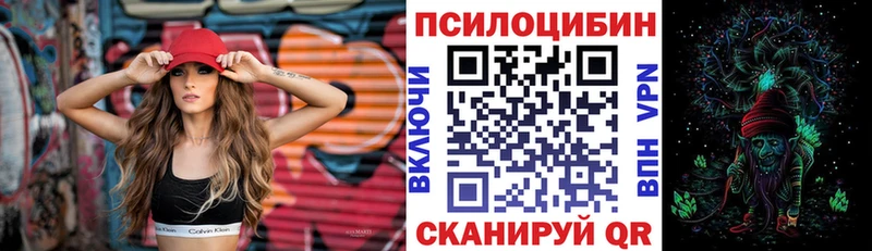 Галлюциногенные грибы Cubensis  МЕГА tor  Городец 